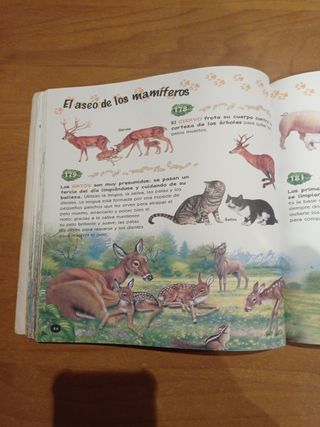 500 preguntas y respuestas sobre los animales