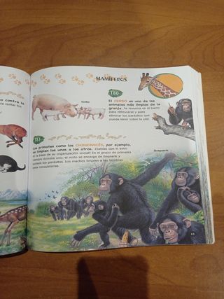 500 preguntas y respuestas sobre los animales