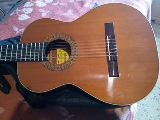 RAIMUNDO 1492/57 CEDRO