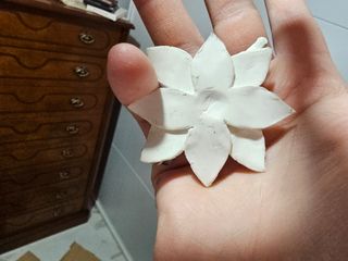 Cosplay lucy bungou stray dogs a mano