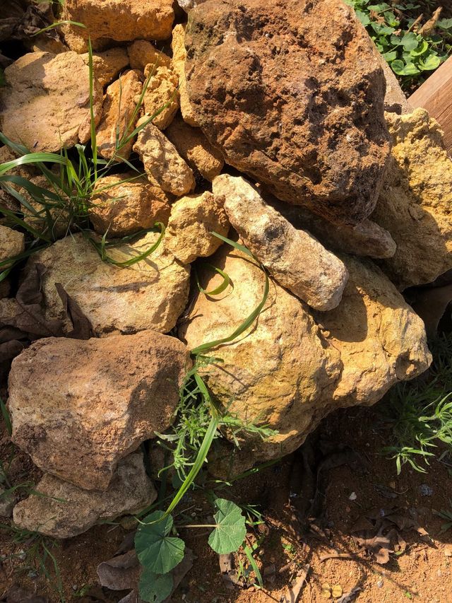 Piedras de albero amarillas