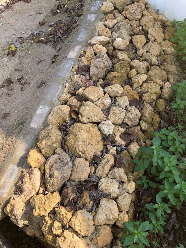 Piedras de albero amarillas