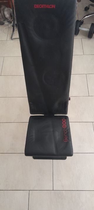 Juego de pesas con banco y paralelas