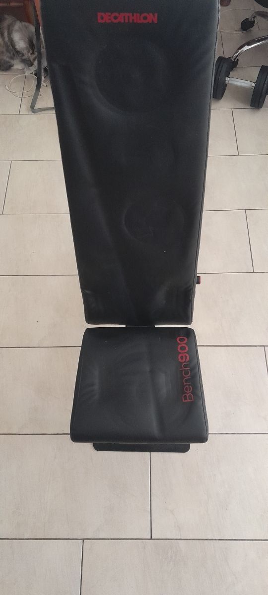 Juego de pesas con banco y paralelas