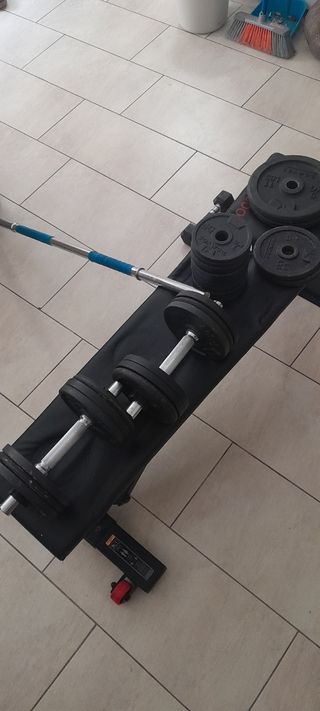 Juego de pesas con banco y paralelas