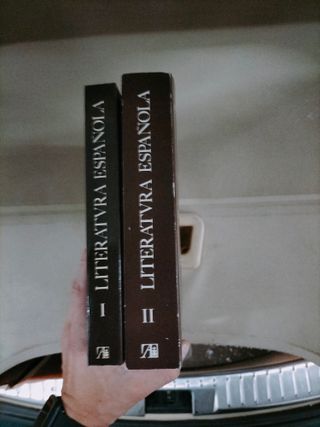 Literatura española. Textos, crítica y relaciones