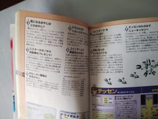 Guía Pokémon Rubí Zafiro Gameboy Advance japonés