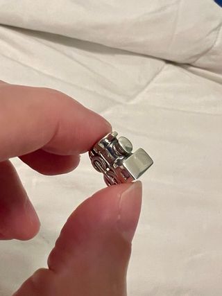 Charm Pandora locomotora