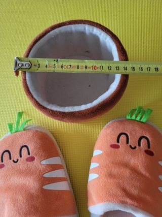 ZAPATILLAS CON MACETA ZANAHORIA ALE HOP