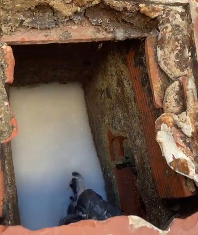 Fontanero electricistas albañil economico pintor