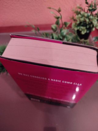 Reina Roja / Red Queen (LA TRILOGÍA REINA ROJA) (Spanish Edition)