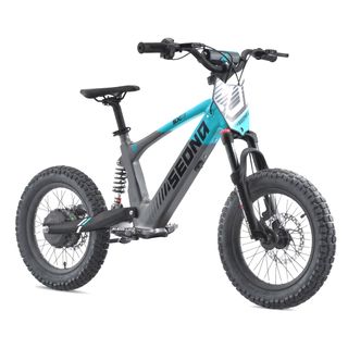 Bicicleta eléctrica infantil Apollo Sedna SX 16"