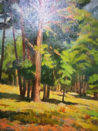 Cuadro. Óleo. Enric Ginesta