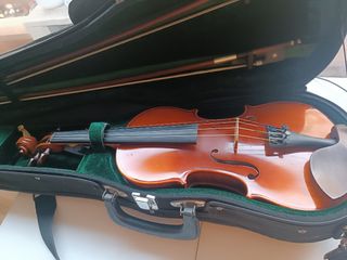 violi