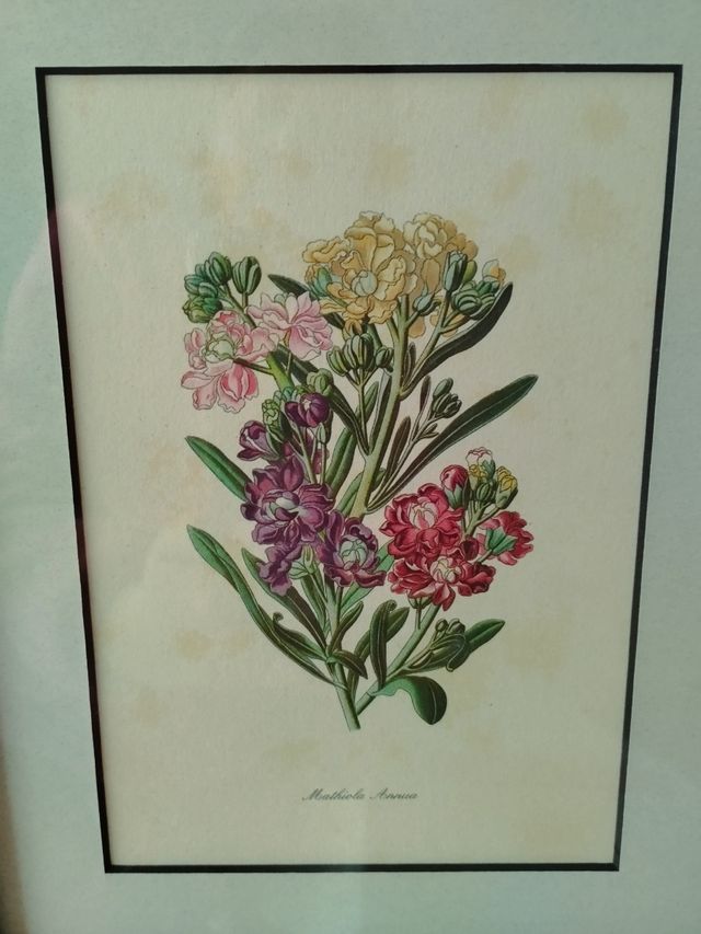 Caja- cuadro porta llaves.