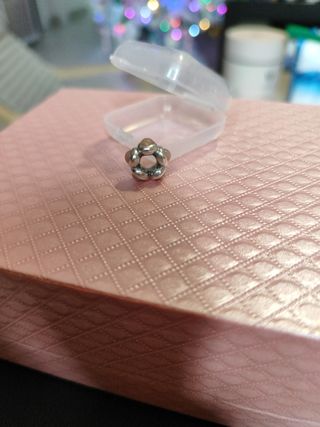 Charm Pandora 