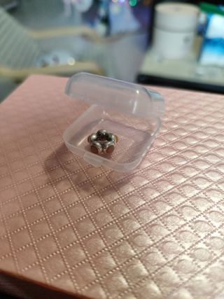 Charm Pandora 