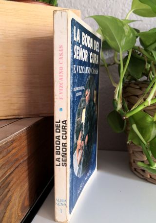 "La boda del señor cura"; Fernando Vizcaíno Casas