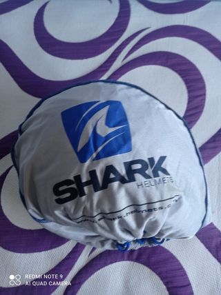 Casco Shark