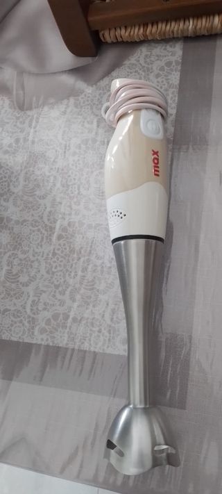 Frullatore a immersione