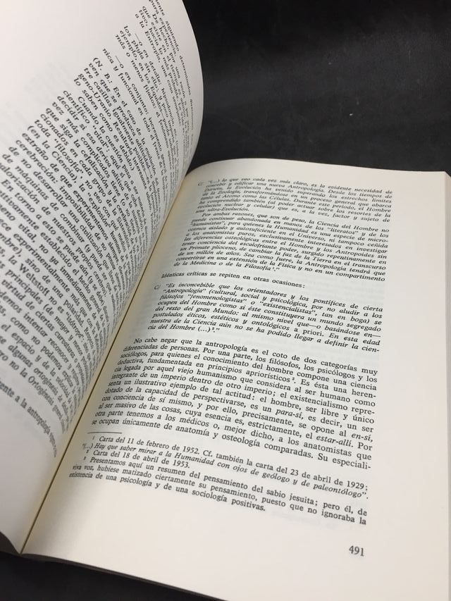 Pierre Teilhard de Chardin, 1967