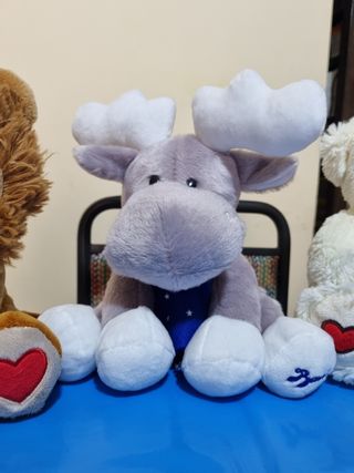 Peluche nuovi 