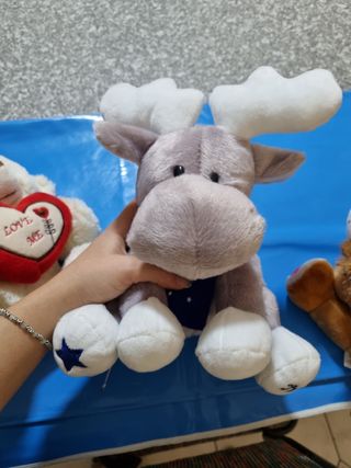 Peluche nuovi 