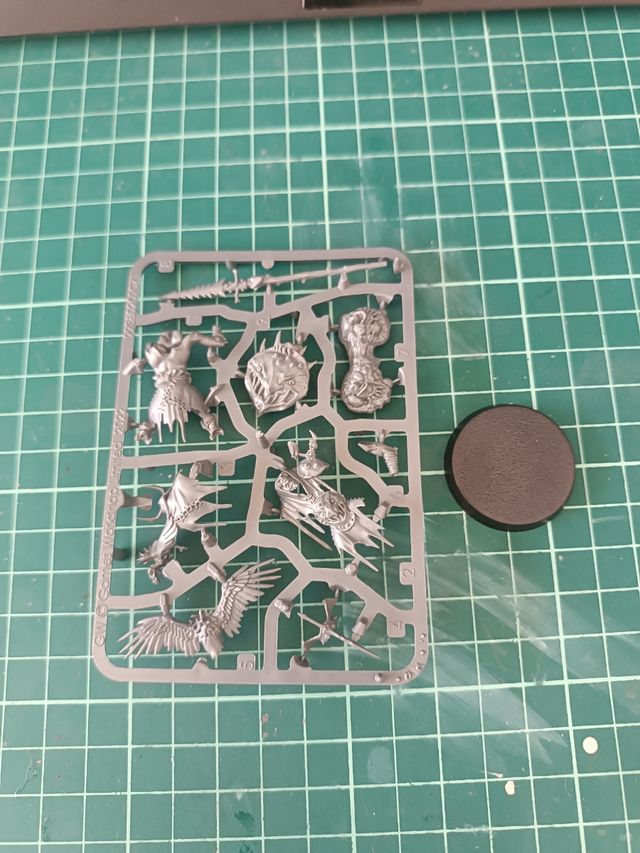 Caudillo Orruk, Age Of Sigmar.