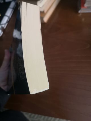 El libro negro de la historia de España