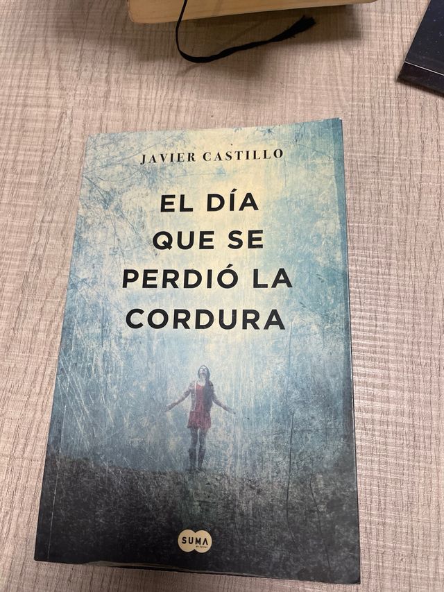 El día que se perdió la cordura / The Day Sanity 