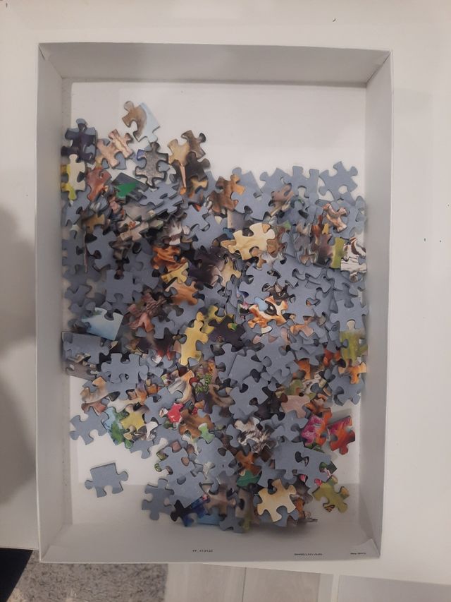 Puzzle 300 piezas Educa