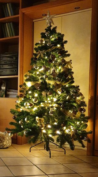 Albero di Natale h. 180 cm
