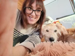 Guardería de perros