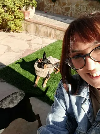 Guardería de perros