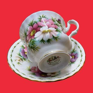 TAZA DE TE Y PLATO DE ROYAL ALBERT MES OCTUBRE