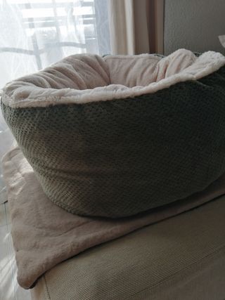 Capazo y rascador gato