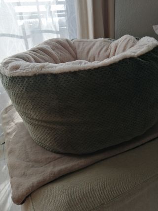 Capazo y rascador gato