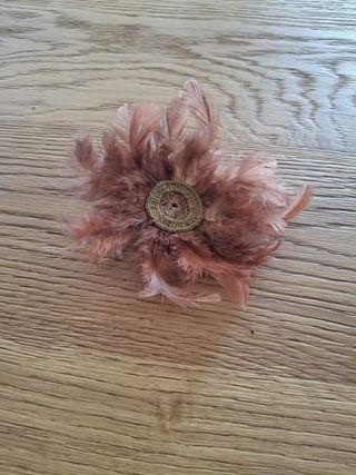 Broche plumas (Artesanía local)