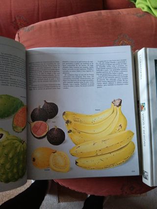 Enciclopedia de cocina