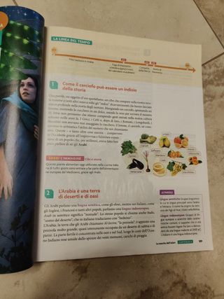 Dove inizia il futuro plus. Con Quaderno delle competenze. Per la Scuola media. Con e-book: Storia antica. Con espansione online. Il Medioevo (Vol. 1)