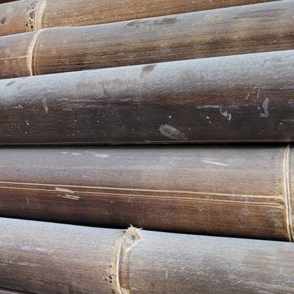 Ø 11-12 cm Bambú natural decorativo Marrón 240 cm