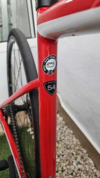 Specialized Tarmac SL6 Carbon Disc talla 54