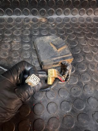 Encendido cdi volante yamaha wrf 250 080