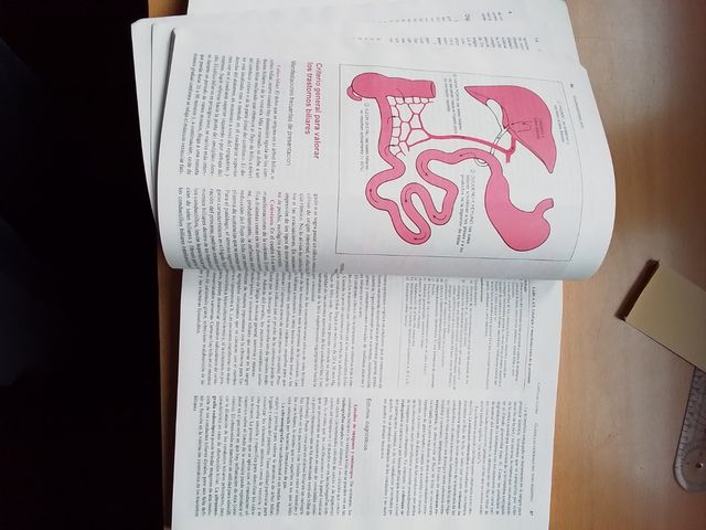 Gastroenterologia -  Heuman, Mills, McGuire Jr.