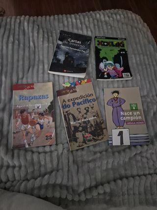 Libros Gallego