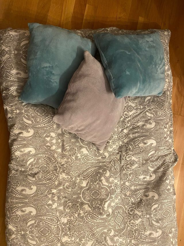 EDREDON Y FUNDA REGALO COJINES