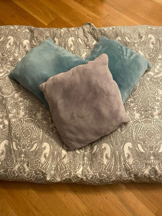 EDREDON Y FUNDA REGALO COJINES