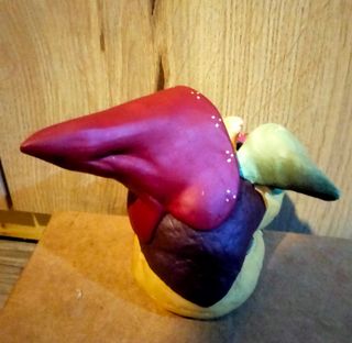 Gnomo di Annekabouke