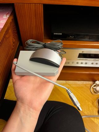 Wii speak