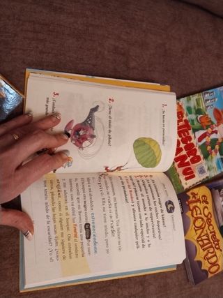 El misterio de los elfos: Geronimo Stilton 51